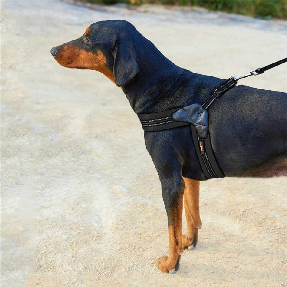  XCRIYX Correa De Gato del Perro Ajustable del Chaleco del Cinturón De Remolque para Los Perros Grandes De Tamaño Mediano Pequeño S/Set - Naranja 