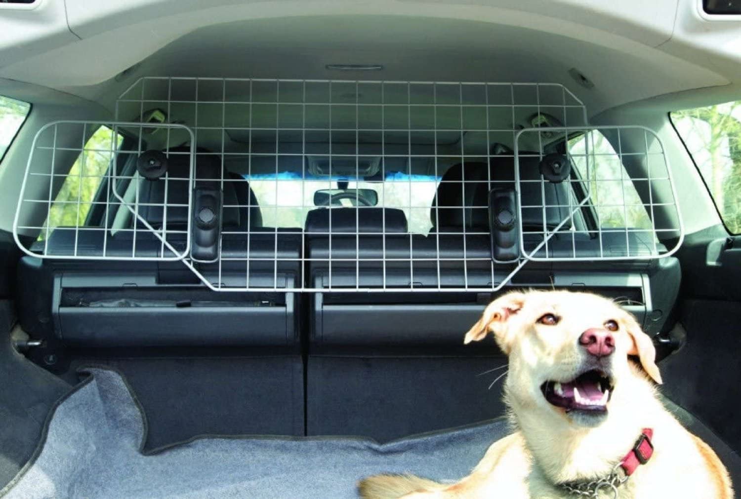  XtremeAuto - Rejilla metálica para transporte de perros en coche, incluye llavero de regalo 