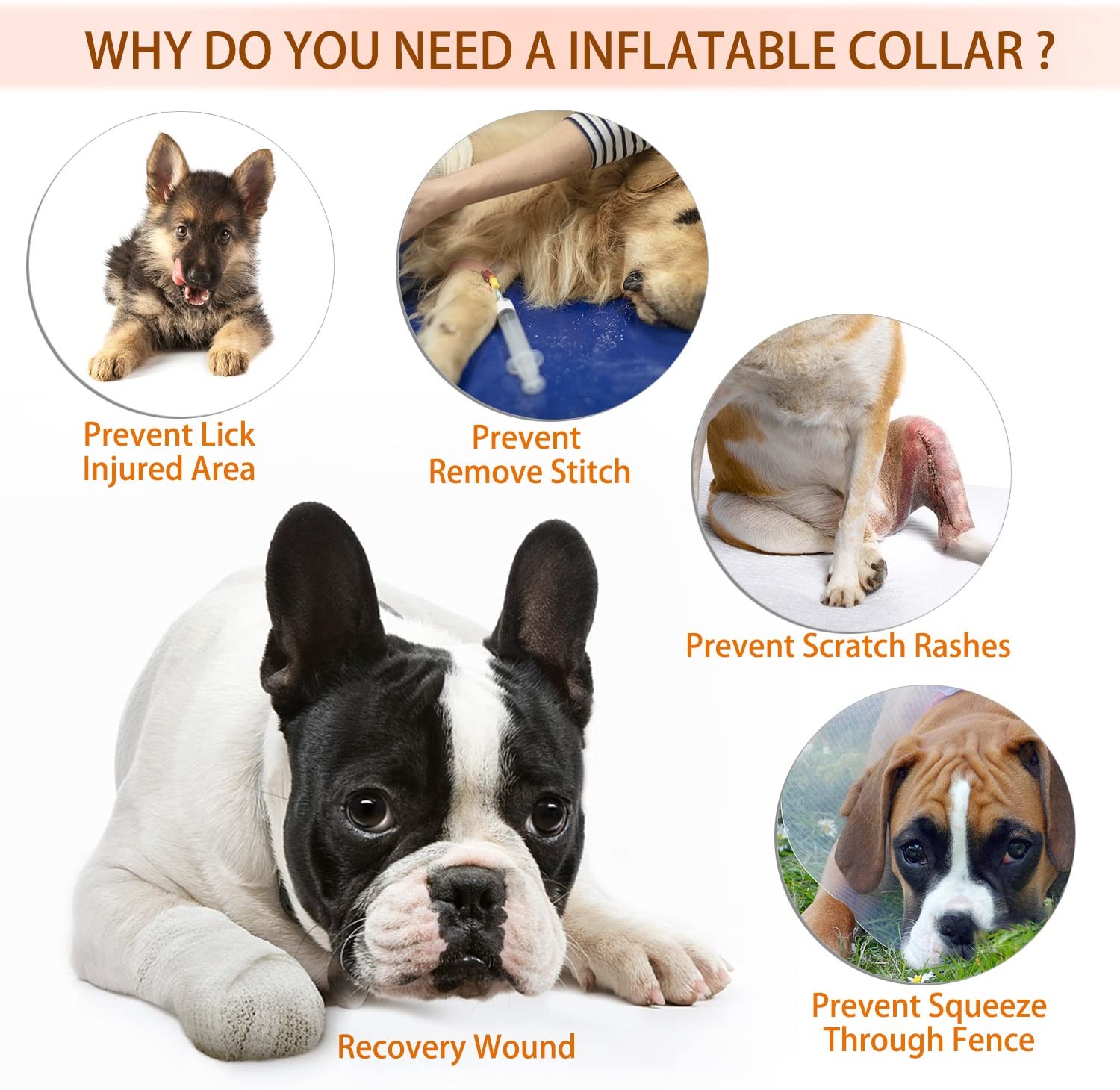  YAMI Collar de recuperación Inflable para Perros, Cono de Cuello isabelino Ajustable para Mascotas Recuperación de cirugía o heridas (S) 
