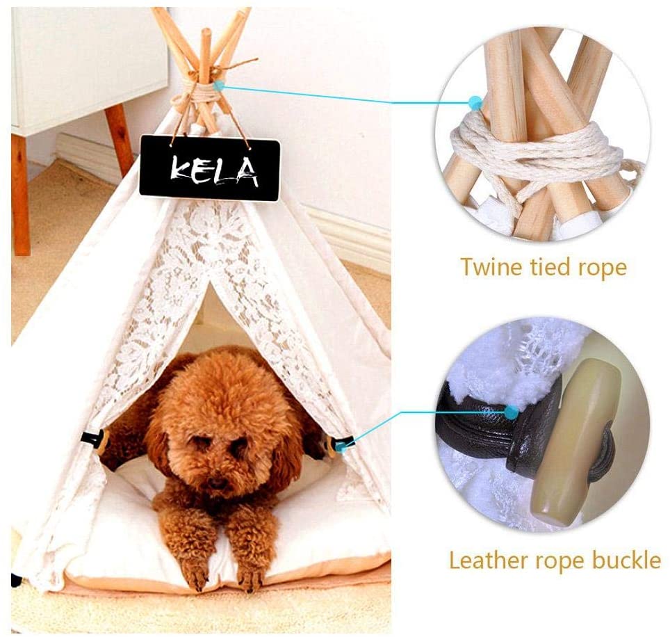  Zhuotop - Tienda de campaña para mascotas con encaje. Cama para perros y gatos, tipi, extraíble, lavable, casa de juegos con cojín 