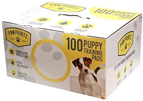  100 X DOG PUPPY PET INDOOR POTTY TRAINING STARTER PADS FOR PUPPIES 60 x 40cm OF 100 PADS (5 X 20 PACKS) NEW by kingfisher 