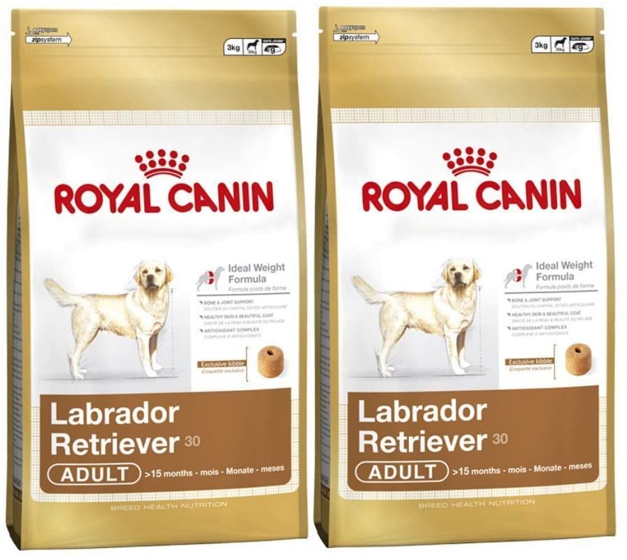  2 x 12 kg Royal Canin Labrador Retriever 30 Multi-Buy Adulto comida para perro 