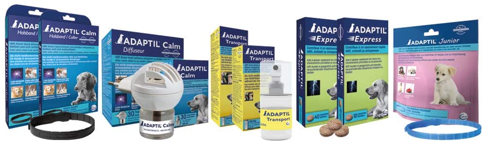  Adaptil - Kit básico 