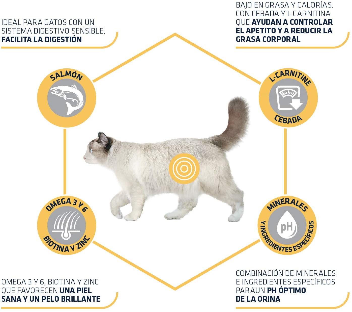  Advance Sensitivie Sterilized - Pienso para Gatos estirilizados con sensibilidades digestivas - 1.5 kg 