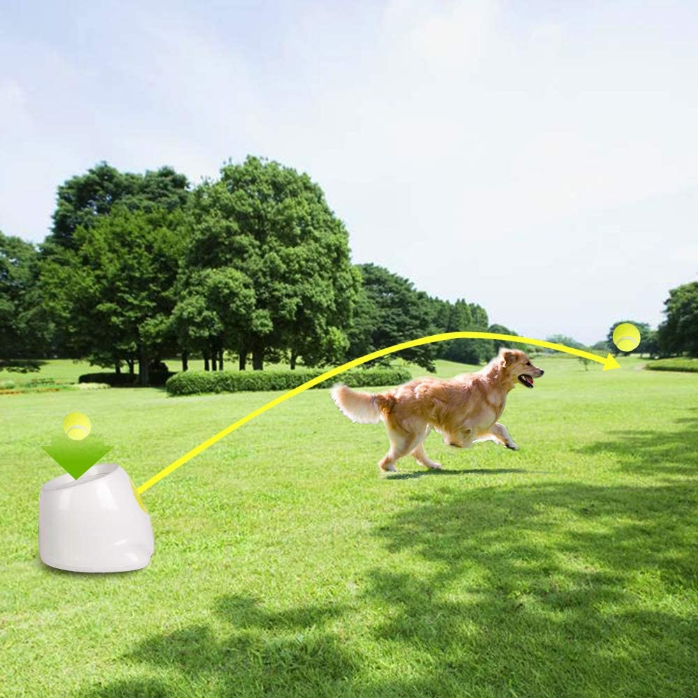  ALL FOR PAWS Hyperfetch Juguete Interactivo para lanzar Bolas de Juguete para Perro, máquina de lanzar Pelotas de Tenis para Entrenamiento de Perros, 3 Pelotas Incluidas 
