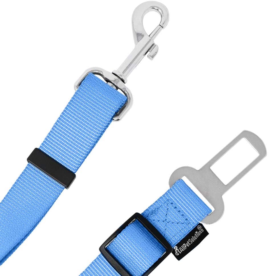  All Pet Solutions - Cinturón de Seguridad para Perro o Gato (Ajustable, para arnés o Collar), Color Azul 