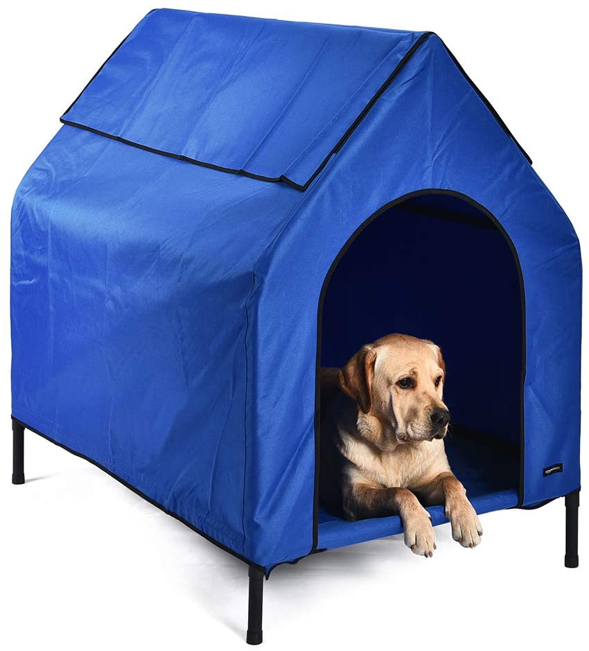  AmazonBasics - Caseta para mascotas, elevada, portátil, mediana, azul 