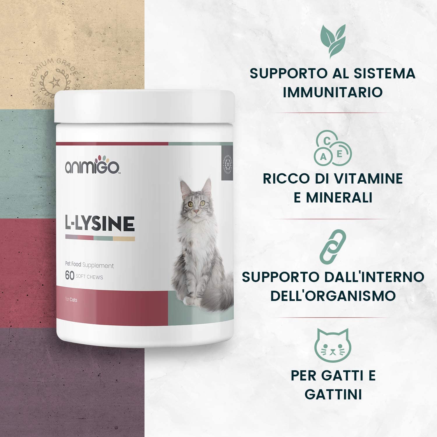  Animigo L-Lisina para Gatos | Suplemento Natural Inmunitario para la Defensa | L-Lisina, Levadura de Cerveza y Pectina Cítrica | Rico en Aminoácidos, Vitaminas y Minerales | 60 Cápsulas Masticables 