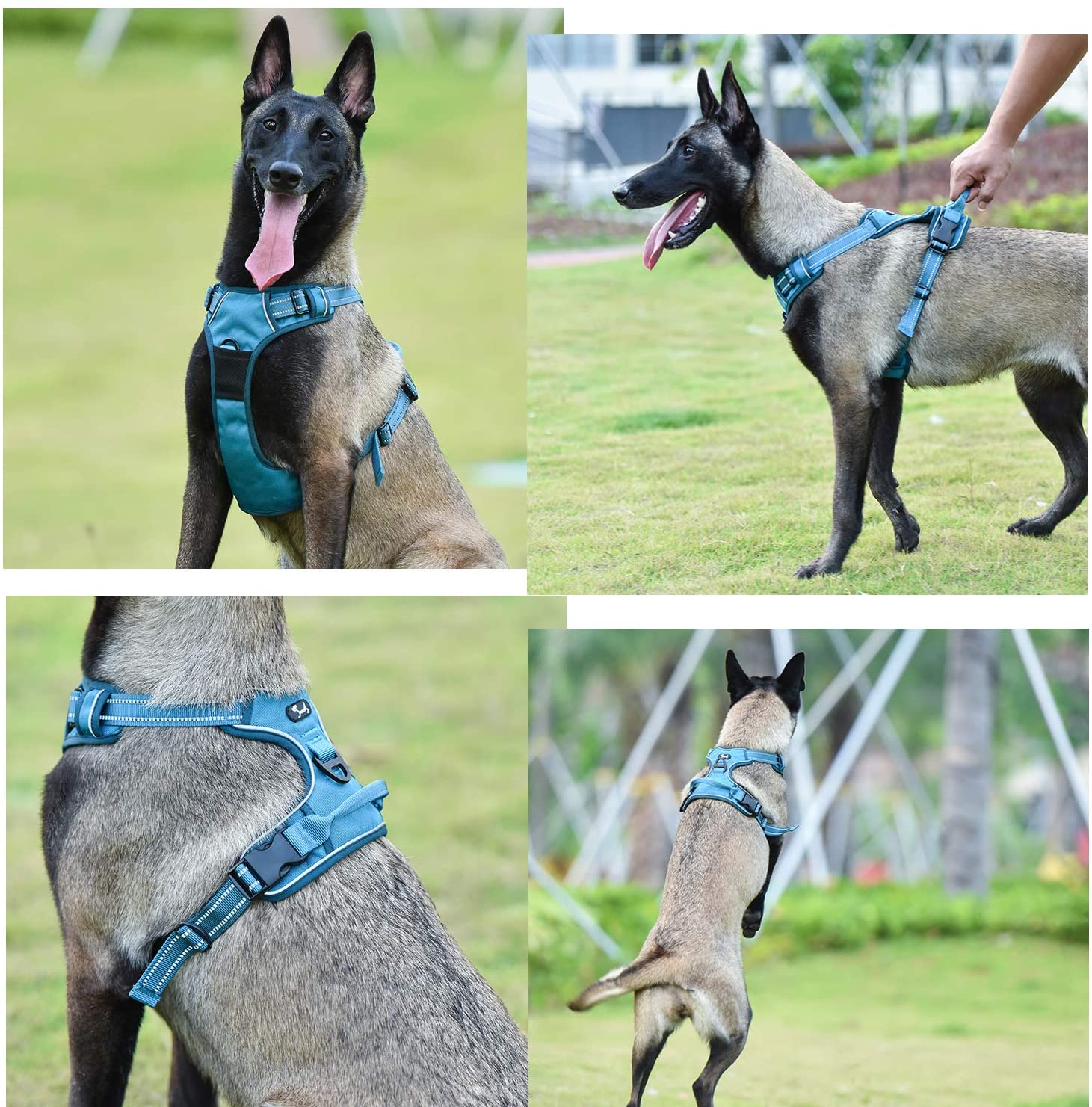  Arnés de perro ajustable de Truelove, de malla suave y transpirable, de nailon reflectante a 3 metros, para perros pequeños, medianos y grandes 