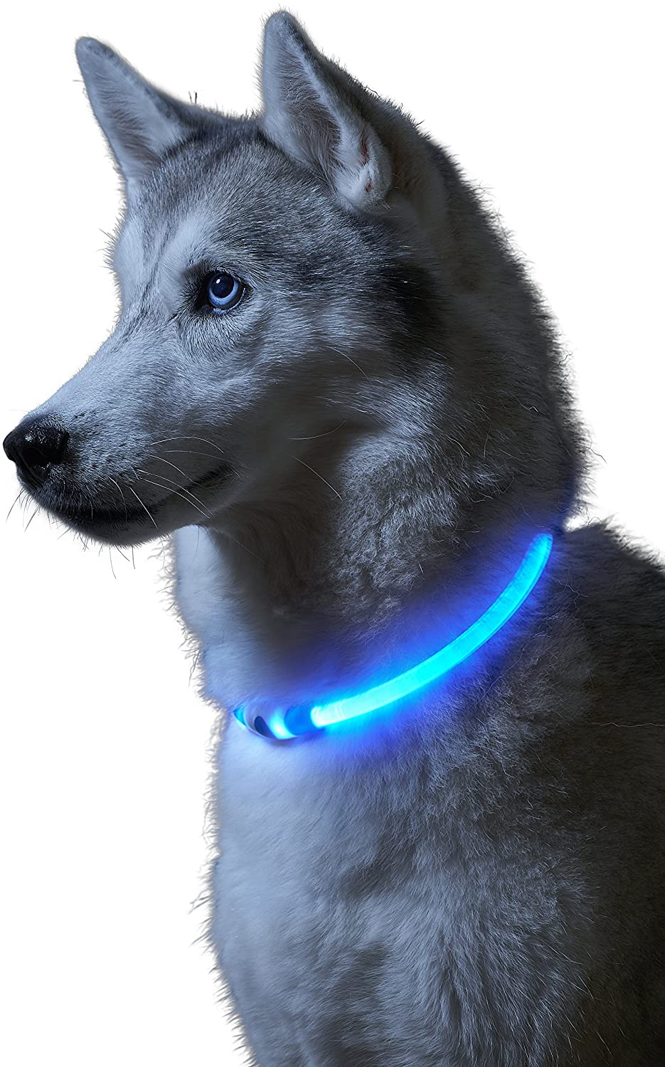  Auraglow Collar de Seguridad para Perros con Luz Super Brillante LED Intermitente de Alta Visibilidad 