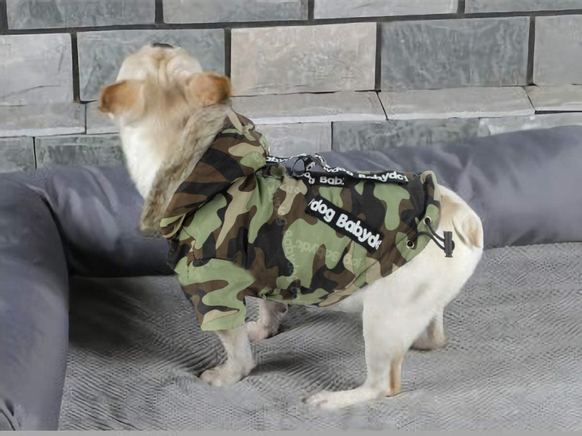  Babydog Abrigo Chaleco para Perro con Capucha, Forro Polar y Mangas, Cierre Corchetes, Modelo Camuflaje Militar (L, Verde) 