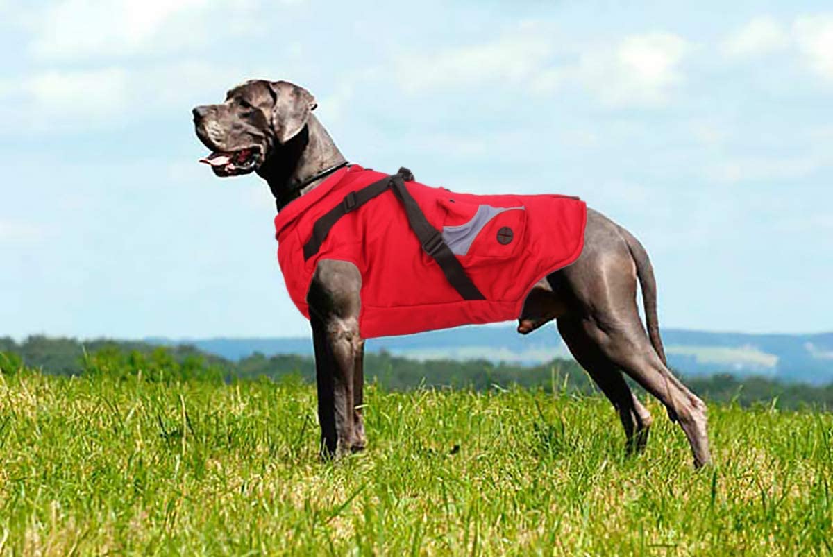  Babydog Ropa para Perros Mascotas, Abrigos Chaquetas de Invierno Suave,Chaleco arnés de Perro Traje de Suéter con Bolsillos (6L, Rojo) 