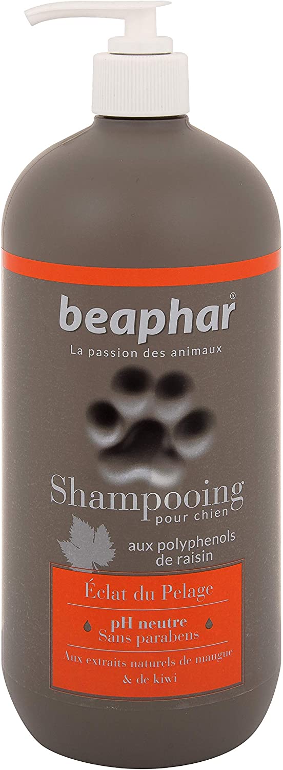  Beaphar - Champú Premium para Perros Pelaje Brillante, 750 ml 