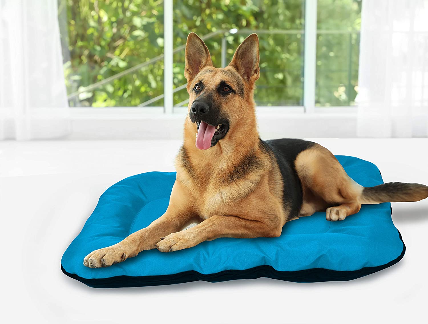  BEST DIRECT Dog Bed Visto en TV Cama para Perro Cojín Tamaño Grande Acolchado Suave e Impermeable para el Hogar y el Exterior Fácil de Lavar - Talla L 88 x 73 cm 