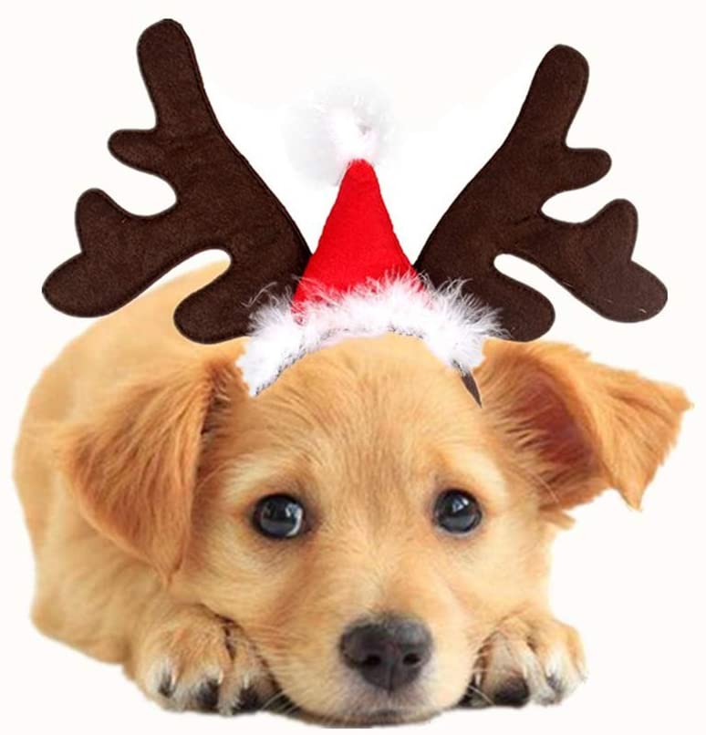  BESTOYARD Diadema Cuernos para Mascota Reno Cuernos Ciervo Disfraz Perro Decoracion Navidad con Mini Gorro de Navidad 