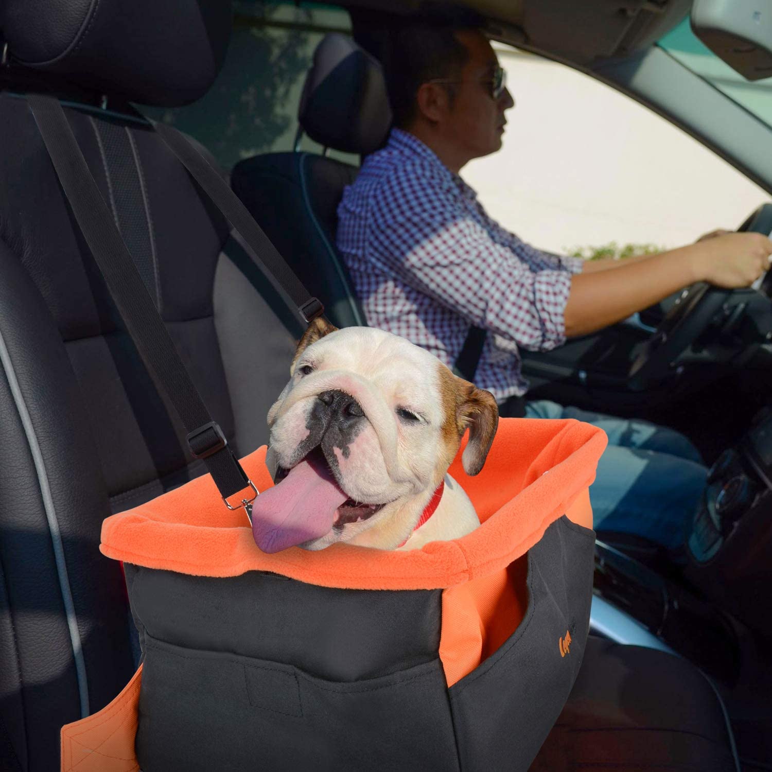  Bolsa Transporte Perro, Portador Portátil de Transporte de Mascotas para Perros Pequeños Cachorros de Perros (Negro) 