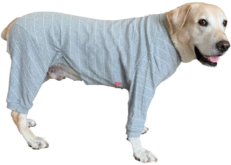  BT Bear - Pijama de Perro Grande para Proteger Las articulaciones Anti-Pelo de Cuatro Patas, Pijama de Perro Labrador Golden Retriever Samoyed 