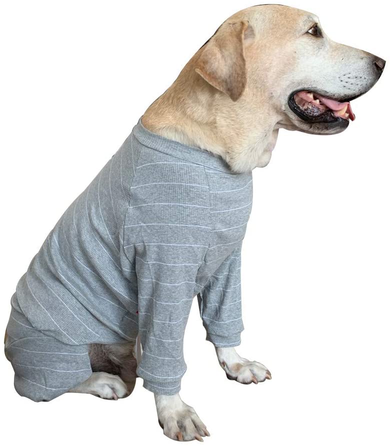  BT Bear - Pijama de Perro Grande para Proteger Las articulaciones Anti-Pelo de Cuatro Patas, Pijama de Perro Labrador Golden Retriever Samoyed 