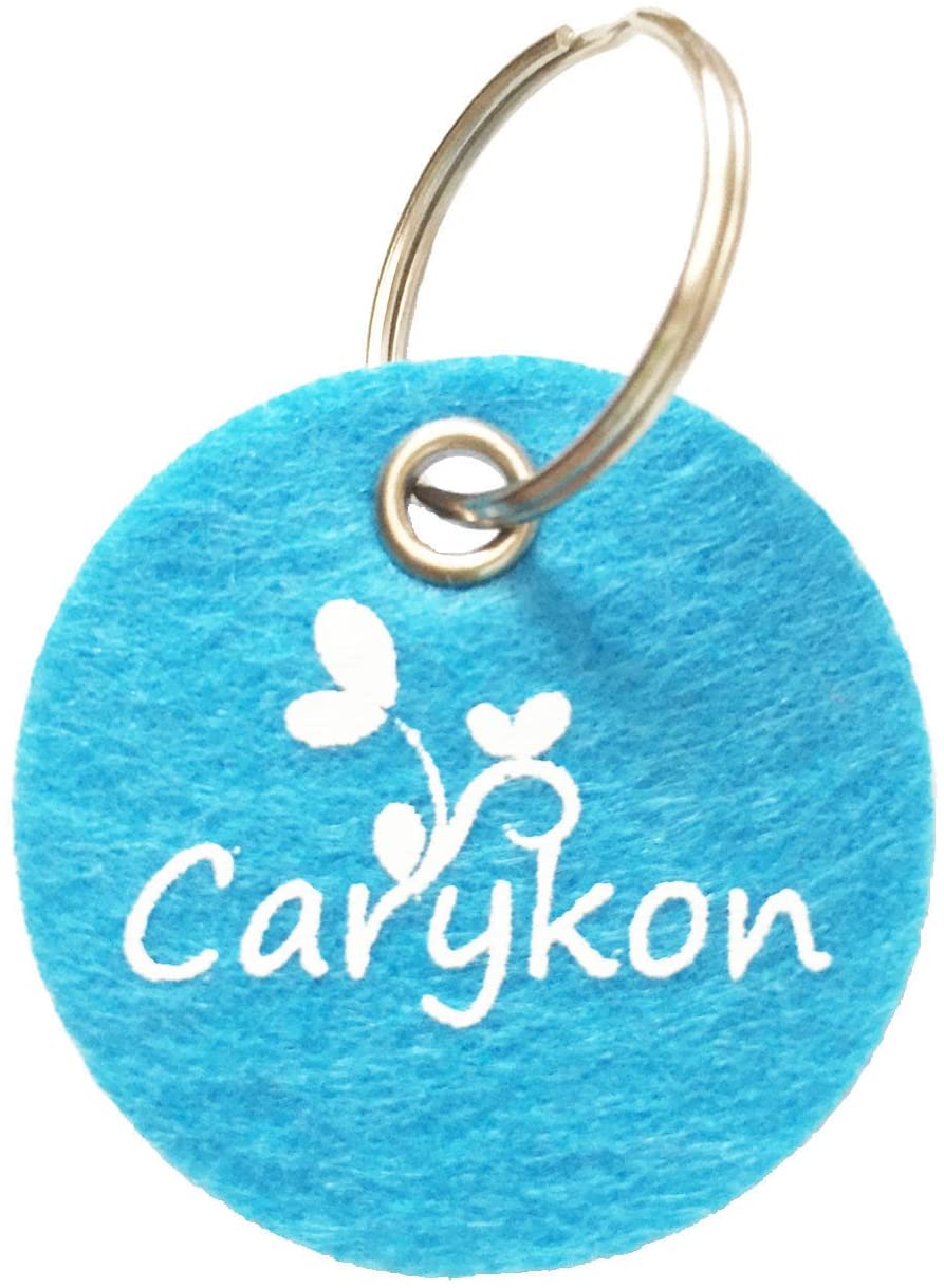  Carykon - 20 Horquillas para el Pelo de Perro con Forma de corazón, para Gafas de Sol, moños de Mascota, Pinzas para el Pelo de cocodrilo, Accesorios para el Pelo de Mascotas 