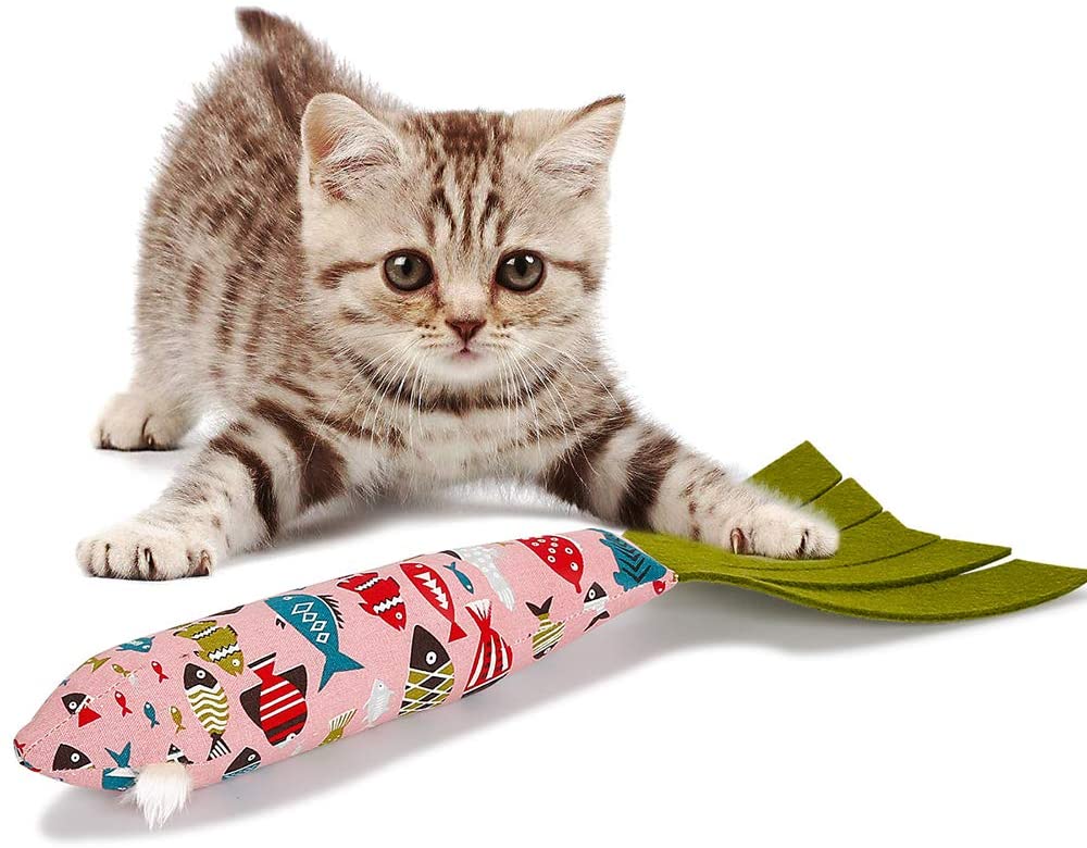  Catnip Juguetes para Gatos, Catnip Juguete Forma de Pez Juguetes De Entrenamiento Cat Toy Juguetes con Hierba Gatera Juguete Interactivo para Gatos con Papel de Anillo para Gatos Kitty (Rosa) 