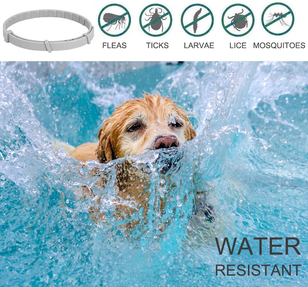  Collar Antiparasitario para Perros, contra Pulgas Garrapatas y Mosquitos, Ajustable a Prueba de Agua, para Pequeños Animales Domésticos de Tamaño Mediano 