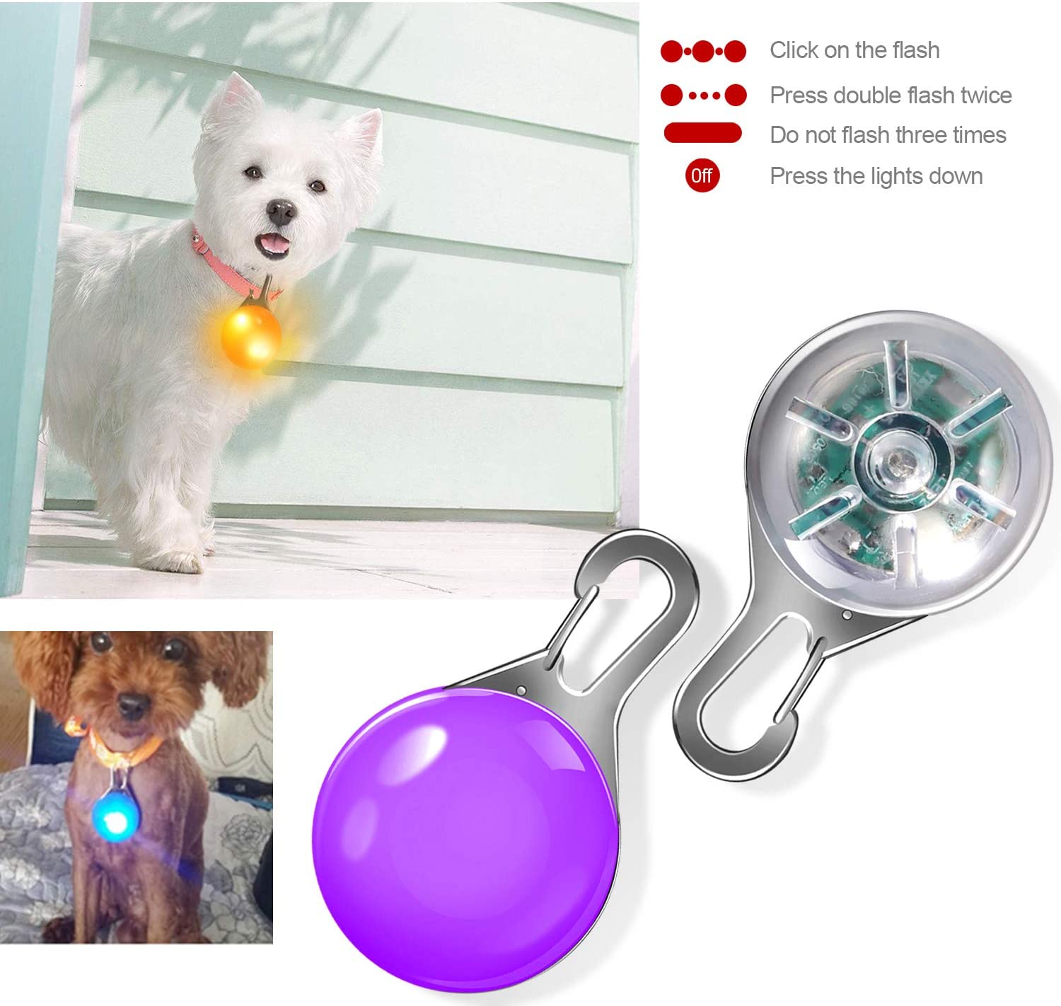  Collar Luces LED, Yosemy 8pcs Clip-On Pet Luz Luminoso de Noche Impermeable Luces de Colores de Seguridad con Etiquetas de Identificación para Perros y Gatos para La Noche Caminar 