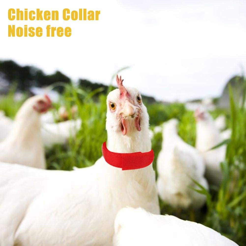  Corwar Collar de Pollo, Collar De Pollo para Mascotas, Collar de Pollo Anti-Gancho Banda para el Cuello sin Ruido para gallos Gallo richly Adaptable 