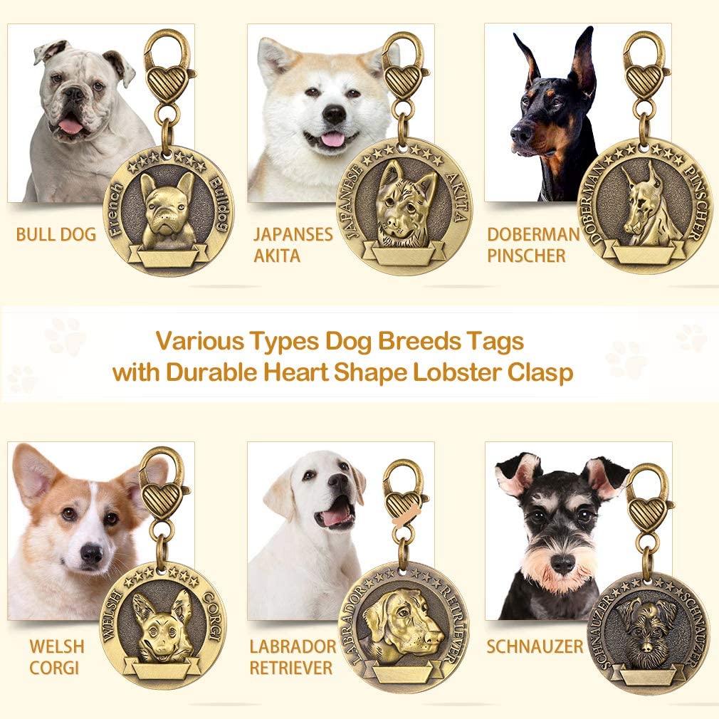  Custom4U Placa de Identidad para Perros Etiquetas Redondas Zinc 3D Relieve Dog Tag Personalizado con Nombres Grabados para Golden Retriever 