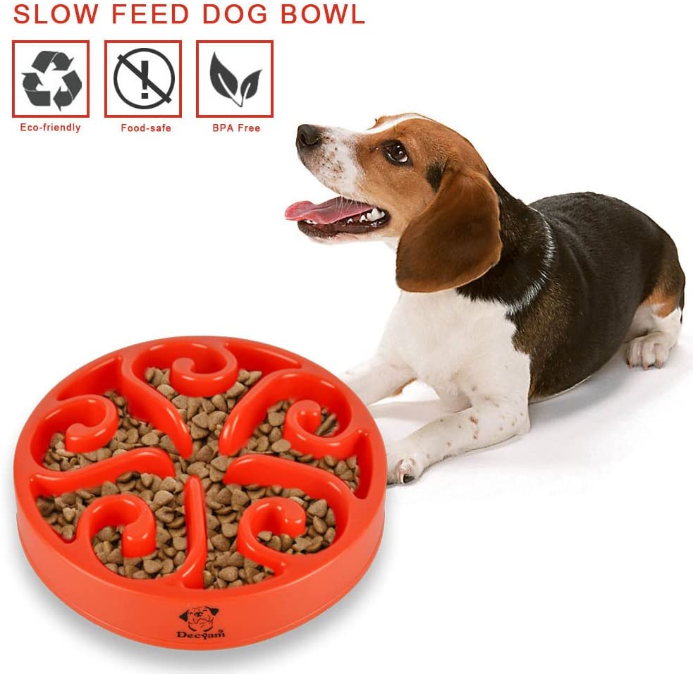  Decyam Comedero Perro Gato, Antideslizante Alimentacion Plato alimentador Tazon Comedero para Mascotas Bebedero Cuenco Bol Recipiente … (Red) 