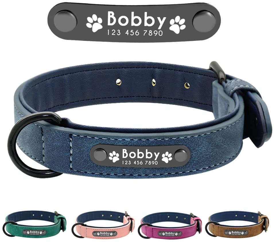  Didog - Collar de piel suave acolchada personalizable para perro, chapa de nombre, anillo en D, collar grabado para perro, tamaños pequeño, mediano y grande 