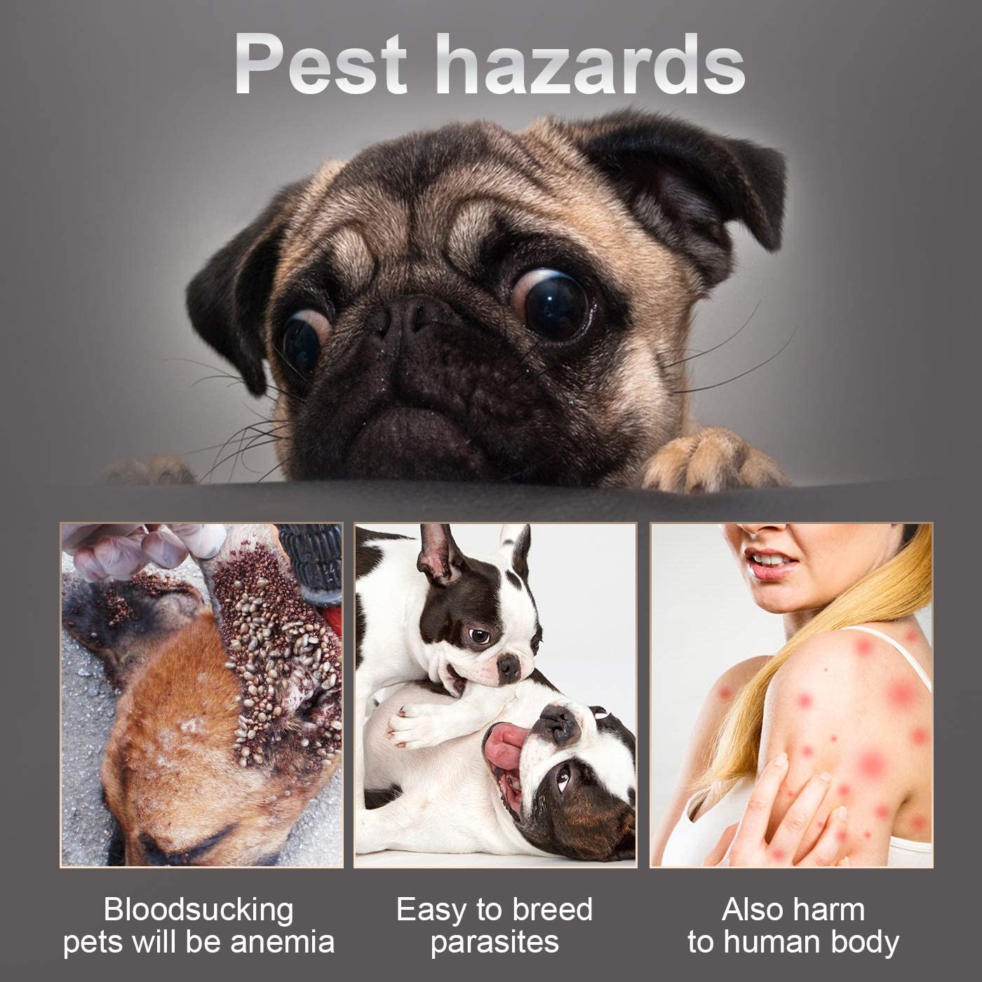  dothnix Collares Antiparasitos para Perros y Gatos contra Pulgas, Garrapatas y Mosquitos, 8 Meses de Protección, con Cortaúñas Tijera de Uñas para Mascotas(55cm) 