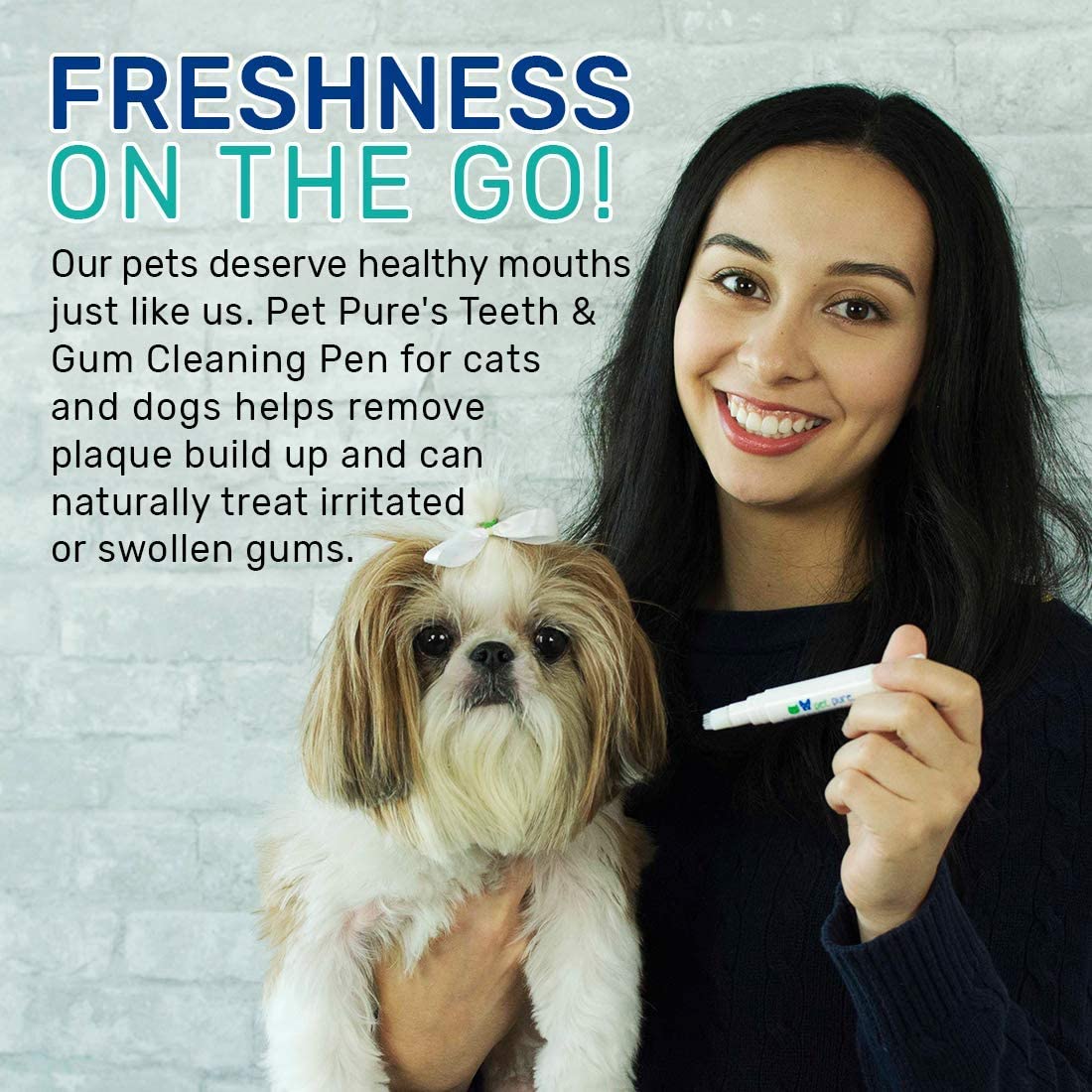  Dr. Brite Spray de Limpieza Oral Puro para Mascotas | Combate la acumulación de sarro | Refresca el Aliento del Animal doméstico | Ayuda a Reducir la Placa | Mejora la Salud de Las encías 