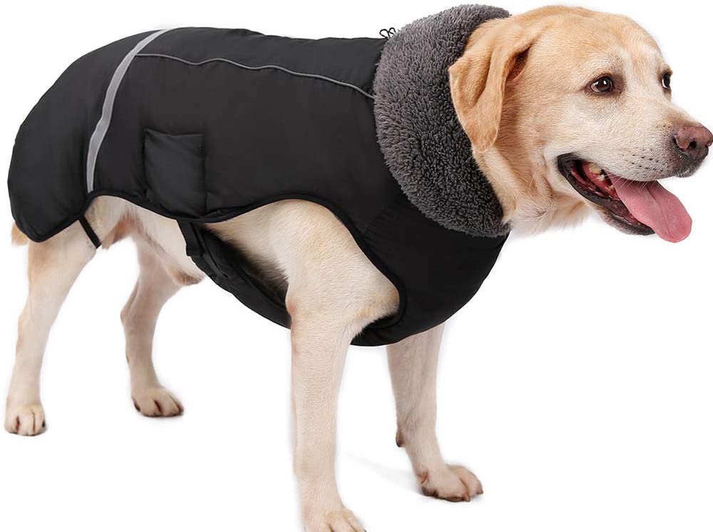  Eleoption - Impermeable caliente para invierno para perros, chaqueta chubasquero para exteriores, impermeable, reflectante, abrigo para perros pequeños, medianos y grandes. - UYYIU76667, XXL, Negro 