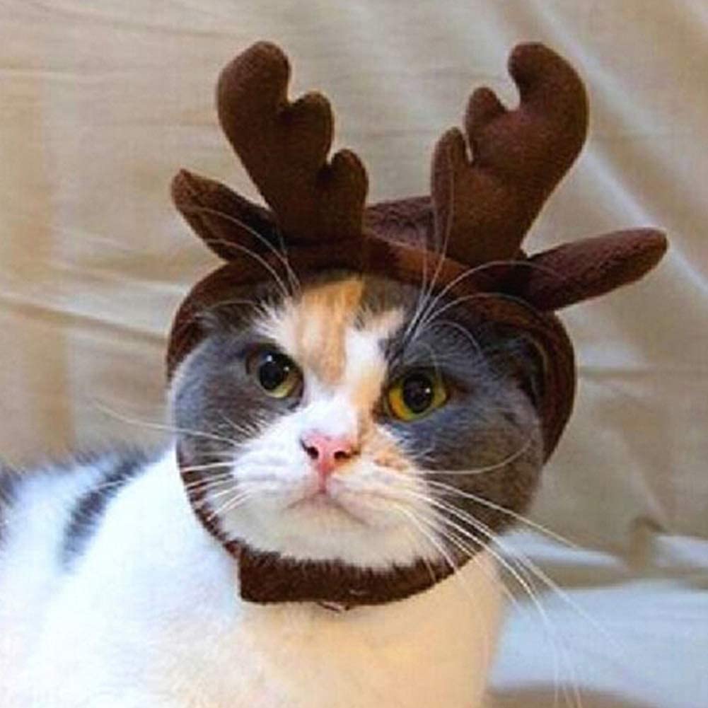 ETbotu Suministros de Navidad para Mascotas Mascotas Diademas para Perros Cornamenta Gorra Suministros para Disfraces de Mascotas Sombreros de Ciervos de Navidad Gorra de asta una Talla 