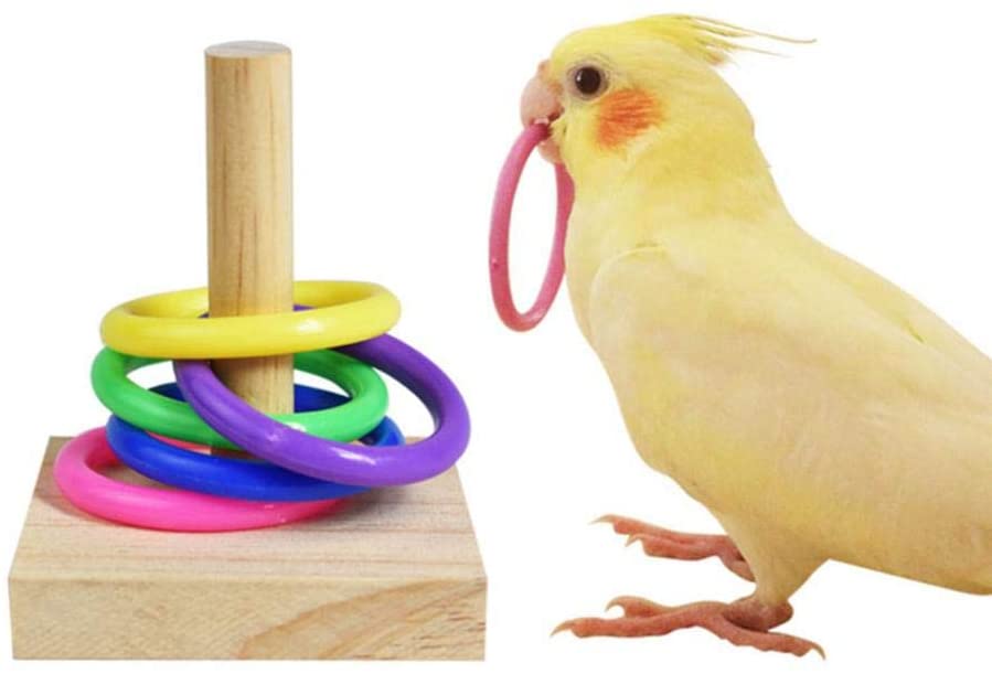  fervory Juguete Anillo Loro Juguetes para Pájaros Truco De Pájaros Juguetes De Mesa para La Educación Jugar Actividad De Juegos En El Gimnasio 