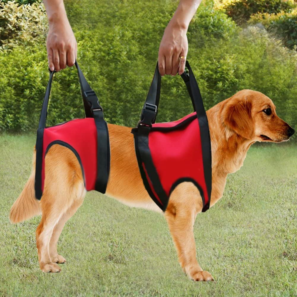  Filfeel Soporte para perros Arnés Pet Walking Ayuda Lifting Pulling Vest Sling Support Rehabilitation para perros viejos y heridos(Pata trasera - M-rojo) 