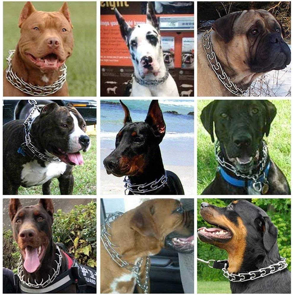  Funihut Collar Adiestramiento Perros Ajustable Collar De Perro Cómodo Y Duradero para Grandes Y Pequeños Perros 