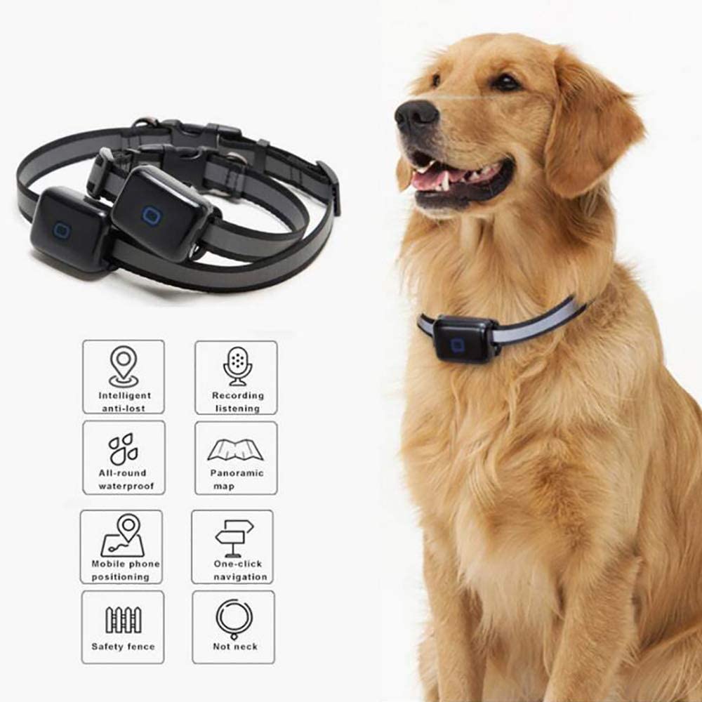  FXQIN Rastreador GPS para Perros, Anti Lost Pets Collar - Dispositivo de rastreo de Perros liviano e Impermeable y buscador de Mascotas, 2 tamaños de Opciones,S 