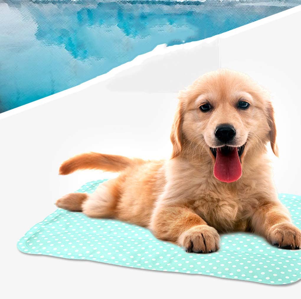  GAOLEI1 Pet Dog Auto Cooling Mat PVC + Material de Gel de polímero No tóxico e inofensivo Fácil de Transportar Adecuado para el Verano Alfombra Auto refrigerante para Mascotas (M, 60 * 44cm) 