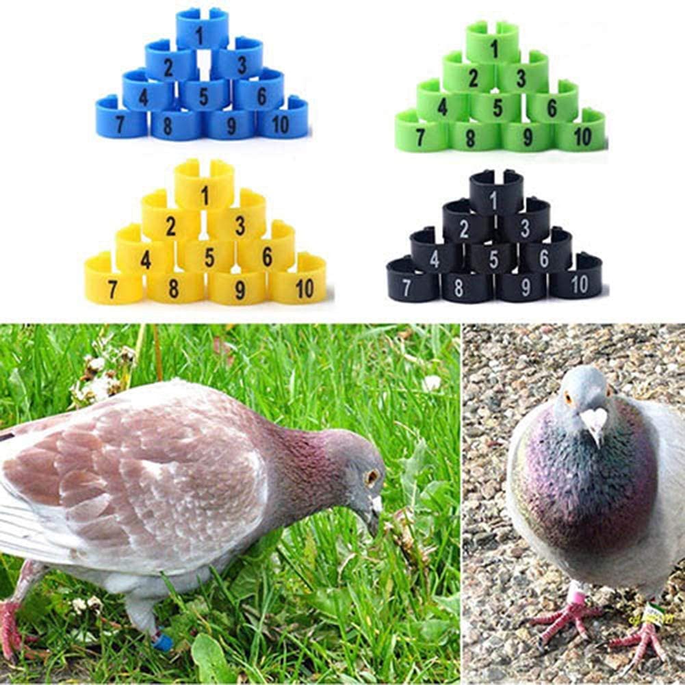  Gohigh, 100 Unidades de Anillos de plástico numerados para Patas de pájaro, para Aves de Corral, Loro, Pollitos, Paloma 