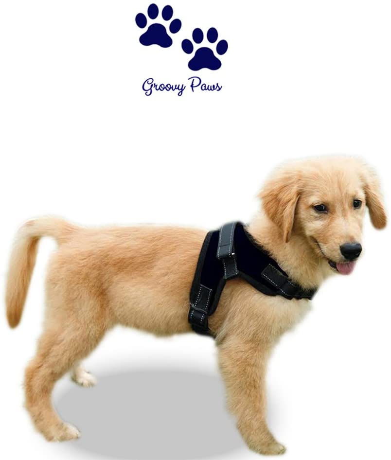  GroovyPaws - Arnés para perro que no tire reflectante, ajustable, para perro o collar, chaleco de servicio, chaleco acolchado para el cuerpo del perro, arnés para caminar con asa (M) 