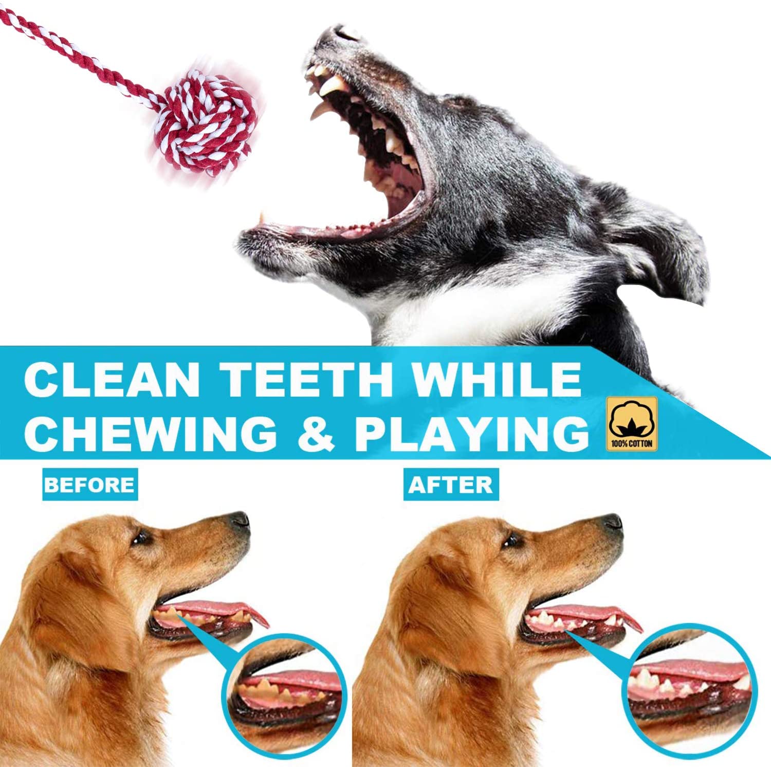  Hengu Juguetes de Cuerda de Masticar + Nudo de Algodón + Conjunto de Frisbee Juguetes Duraderos Interactivo para Perros Pequeños y Medianos Perrito Mascotas de Dentición (4 Piezas) 