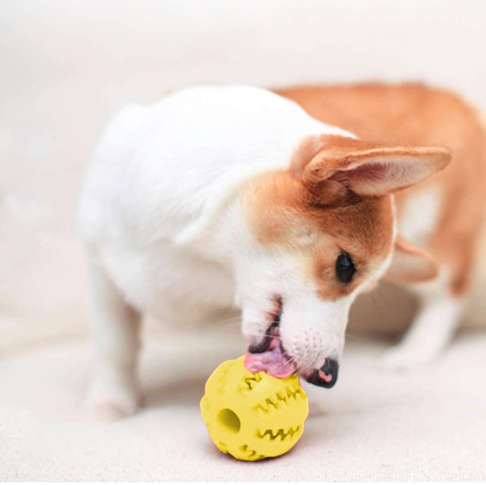  Hirkase Perro, Mascota Juguete Bola Golden Retriever Teddy Molar Perro Cachorro Pelota de Goma elástica Grande no tóxica (Amarillo M diámetro 7 cm) 