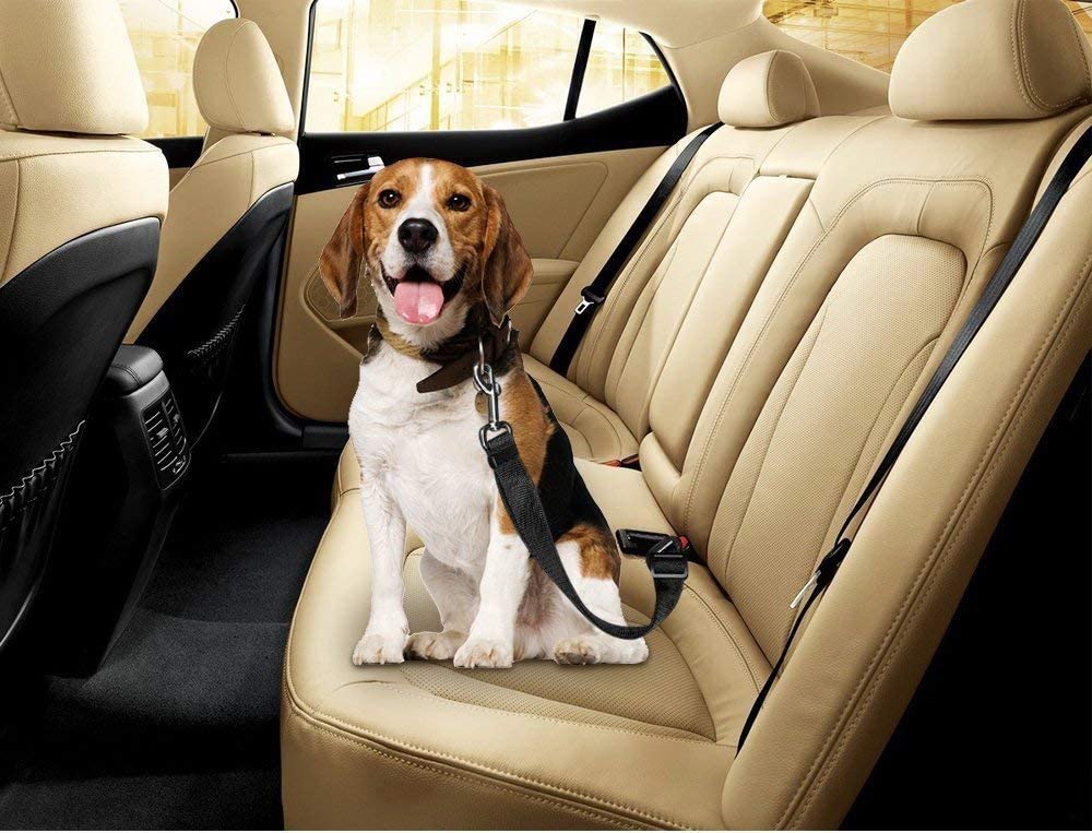  Hosaire Cinturón de Seguridad para Perros,Cinturón Ajustable de Nylon para Trasportar Mascotas de Viajes Cinturón de Perros de Asiento de Coche Color Rojo 