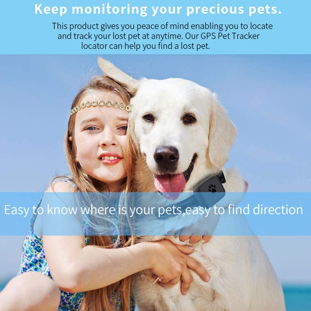  HSHXY Rastreador GPS para Perros y Gatos, Monitor de Actividad en Tiempo Real para Perros Gatos WiFi GPS LBS Dispositivo de Seguimiento de posicionamiento con Collar 