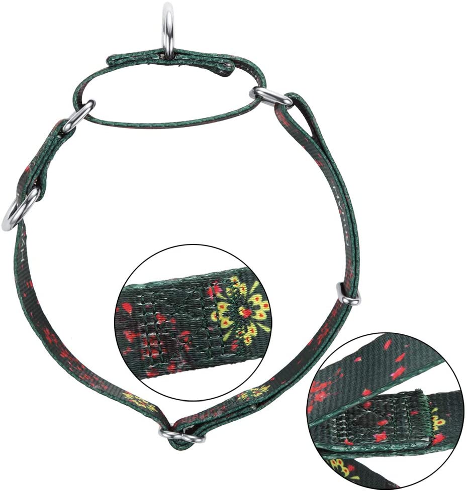  Hyhug Cuello de martingala Mejorado para adiestramiento para Caminar en Perros medianos - Etiquetas y Accesorios de identificación con Doble Anillo de sujeción (Medio M, Verde Ciruelo Flor) 