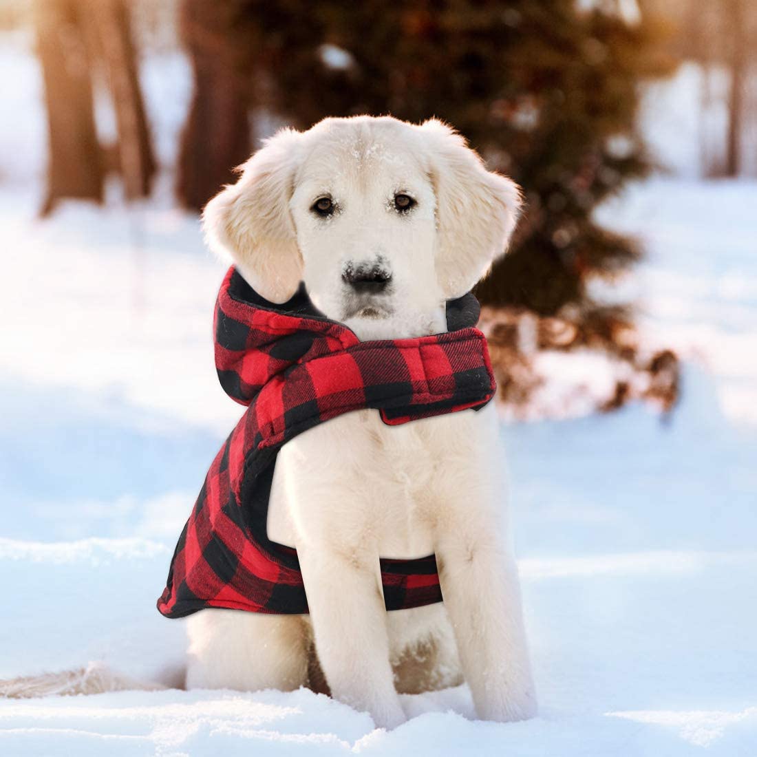  Idepet Camisa con capucha a cuadros para perros, ropa de invierno para mascotas Chaleco Disfraces Abrigo suave y cálido para perros pequeños medianos grandes Gatos 