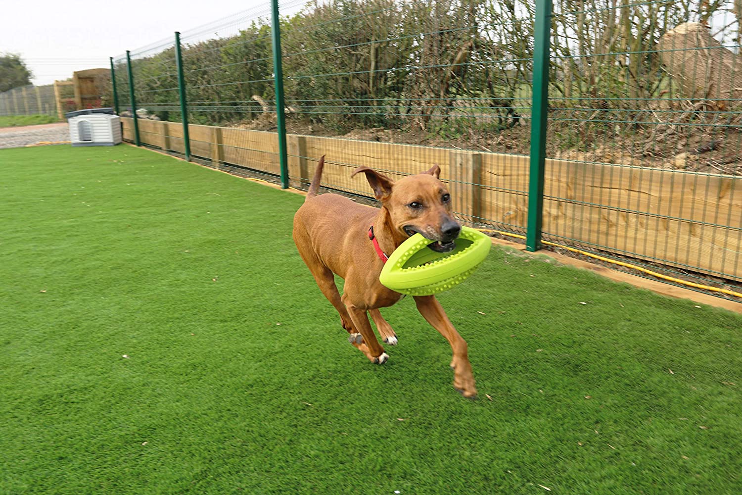  Juguete para Perros de Happy Pet, con Forma de balón de Rugby 