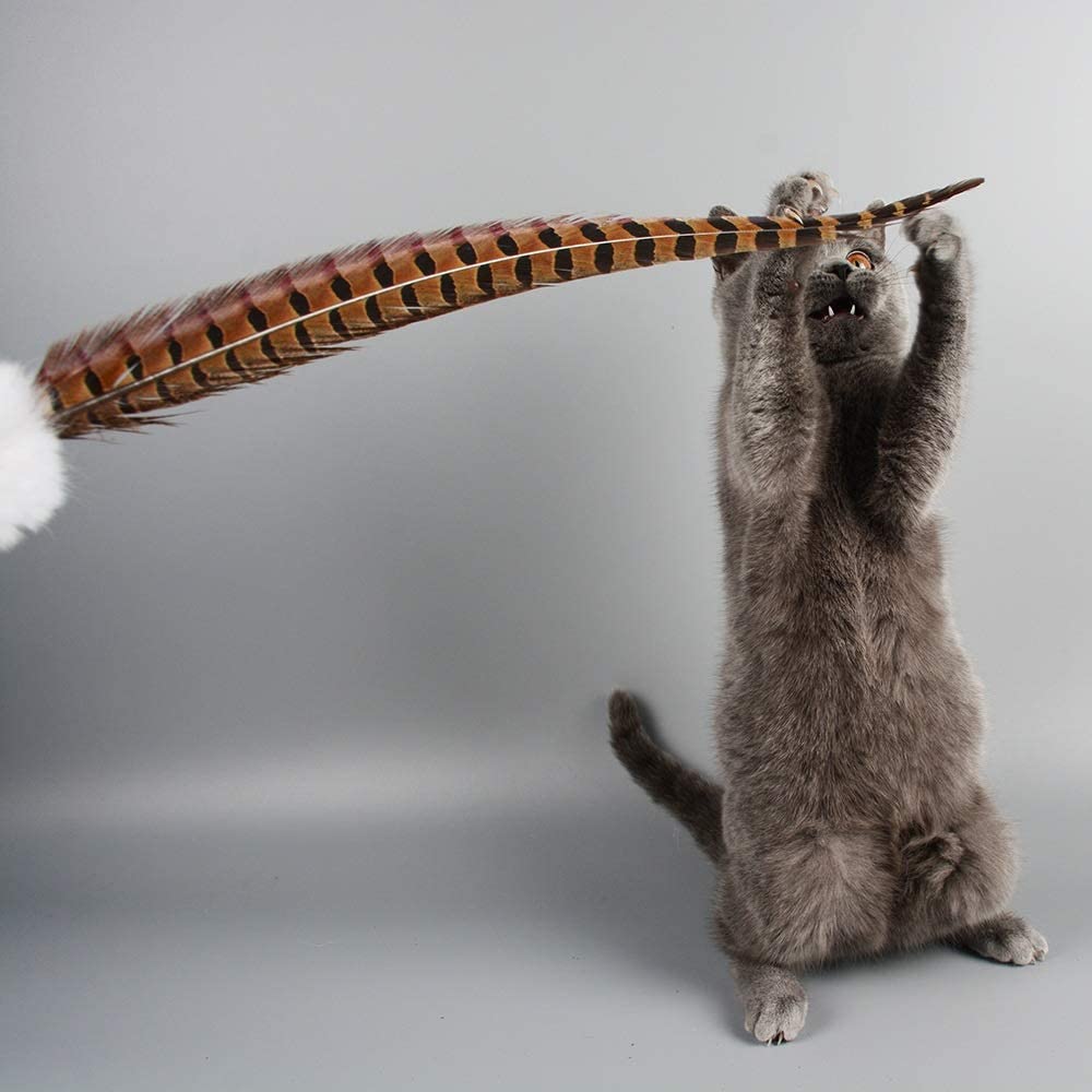  Juguetes para Gatos Interactiva gato juguete divertido gato del animal doméstico Juego del gatito Sticks Varita Classic Rod Ingenio con Bell Antideslizante y Facil de Desmontar ( Color : Blue ) 