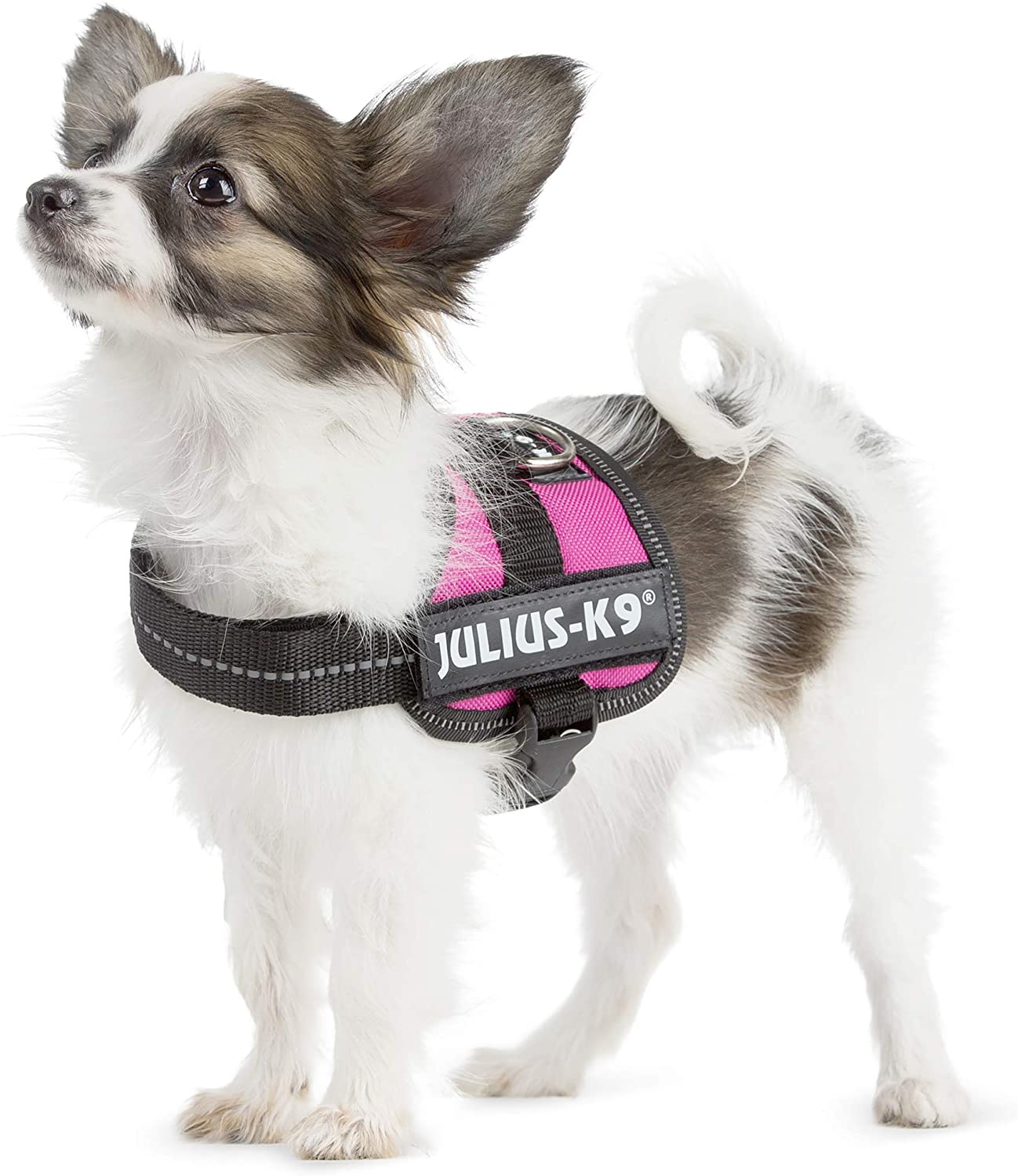  Julius-K9 PowerHarness para perros, color Rosa oscuro, talla Baby 1 